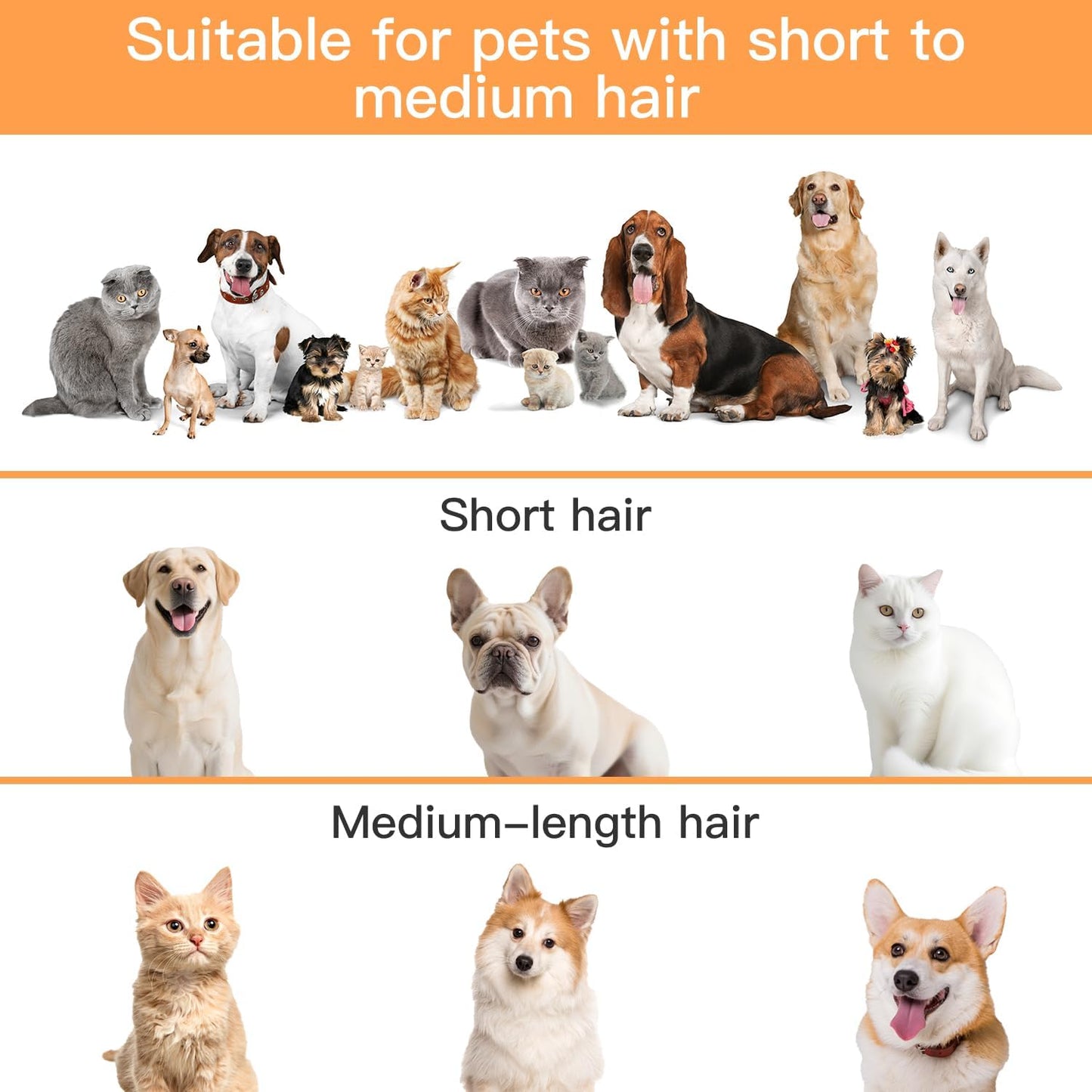 PetGroom Pro Vacuum Kit – 12,000Pa Suction, 2L Capacity, Low Noise, for Dog Shedding & Grooming